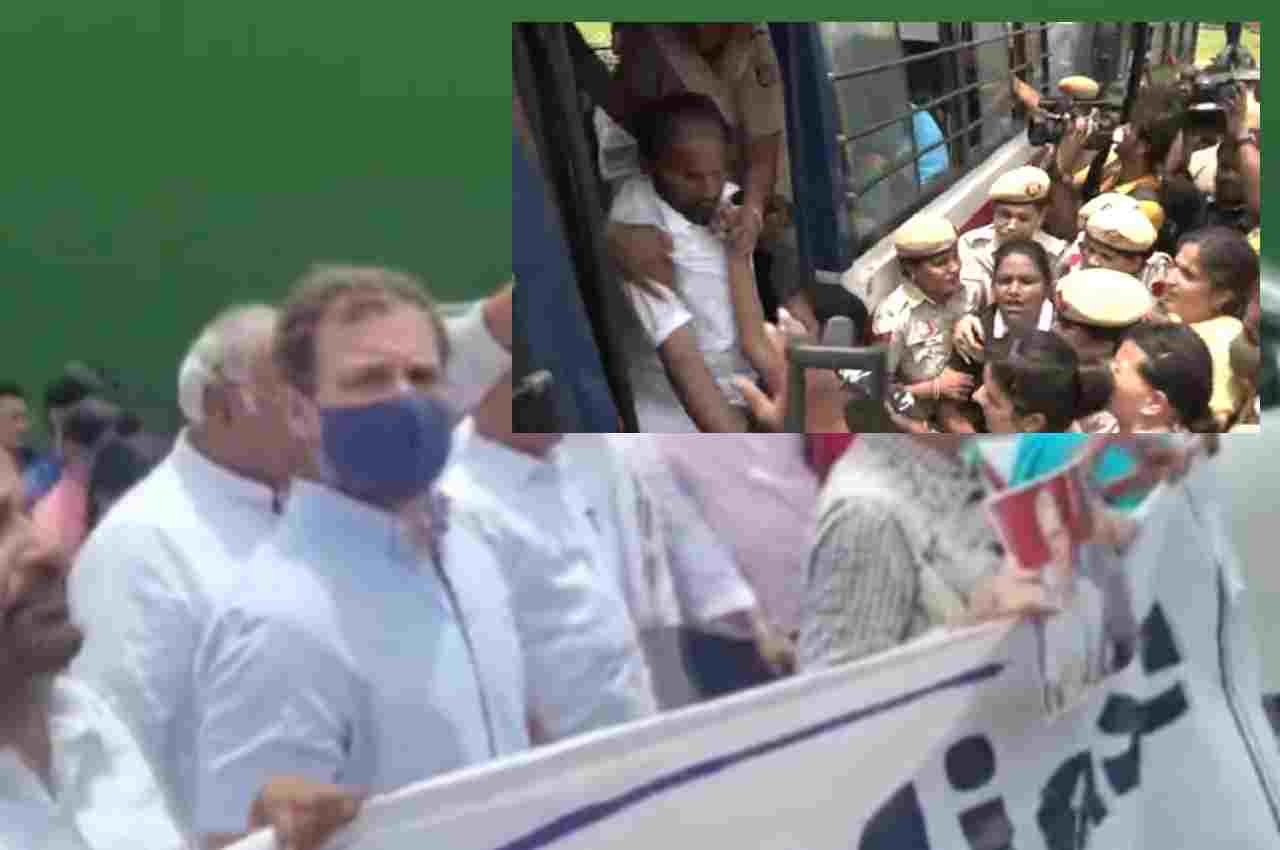 Congress, Satyagraha, Rahul Gandhi, Sonia Gandhi, Protest vijay chowk, news24, news24english