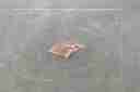 UP, ram, heavy stone, heavy stone floating, shocking news, news24