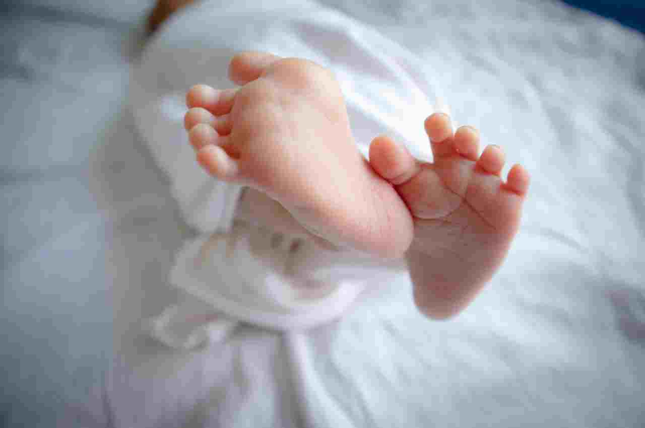 Maharashtra, Palghar, news24, pregnant woman, forest, improper roads