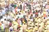Lumpy Disease, Lumpy skin disease, news24, BJP, cattle deaths, cow death