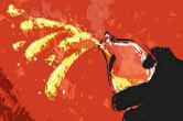 Andhra Pradesh Acid Attack