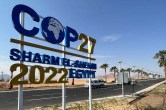 cop27