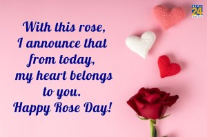 Rose Day 2023