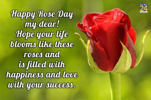 Rose Day 2023