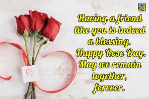 Rose Day 2023