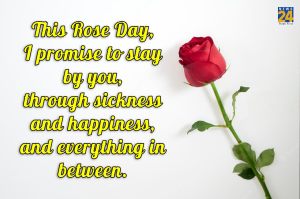 Rose Day 2023