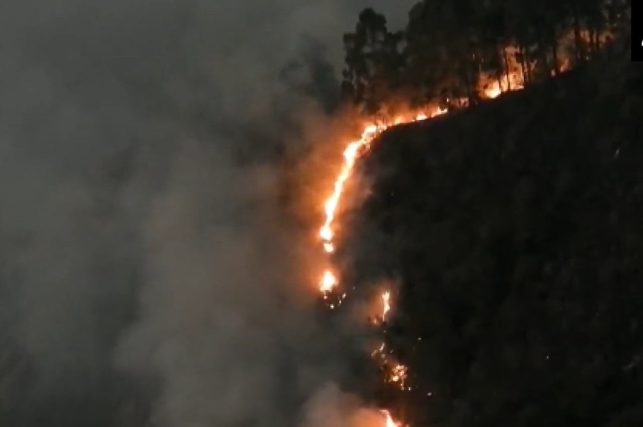 Tamil Nadu Forest Fire