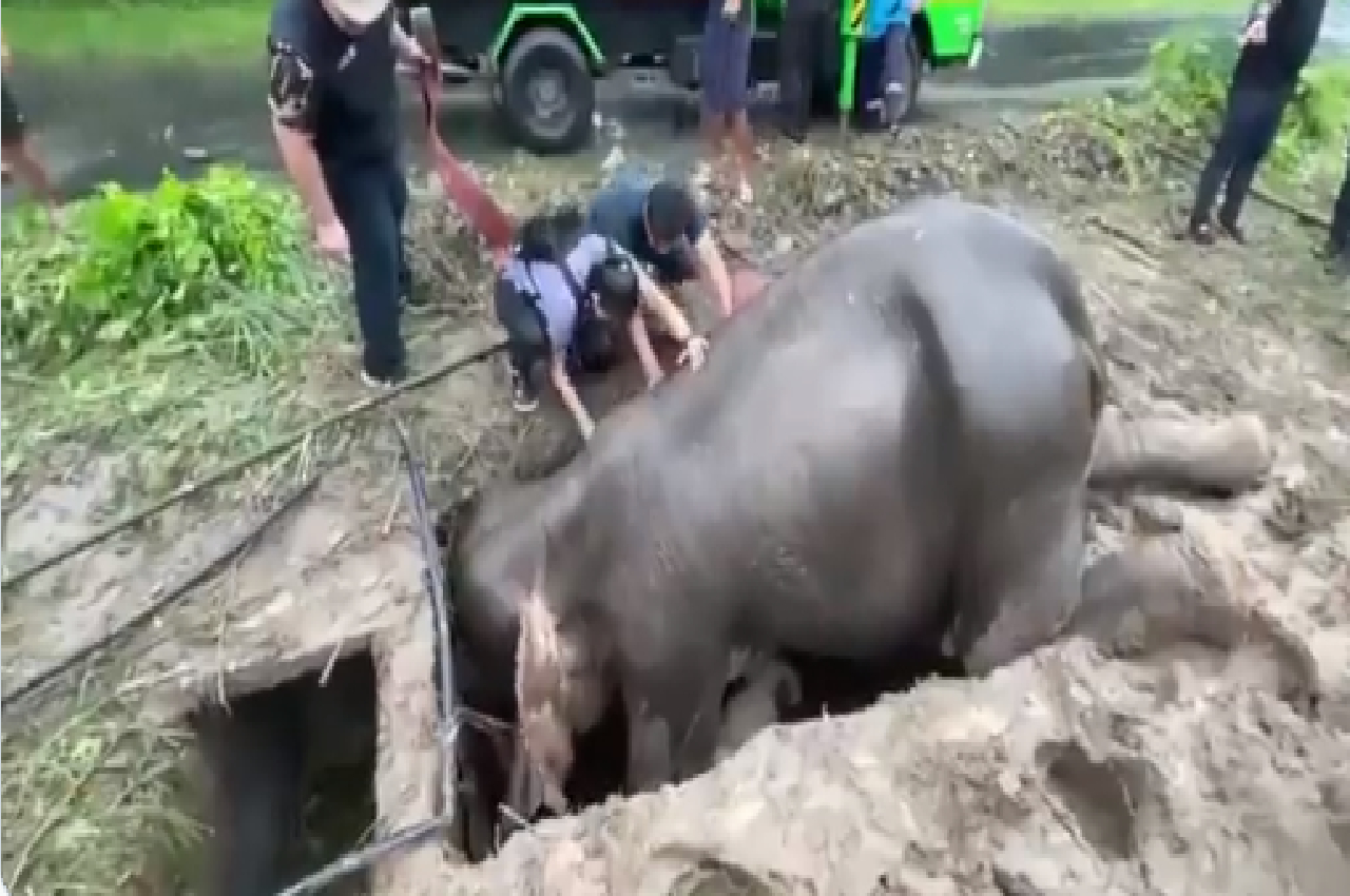 rescue operation