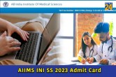 AIIMS INI SS 2023