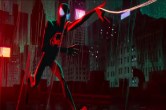 Spider Man Across The Spider