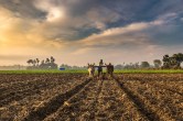 farmers