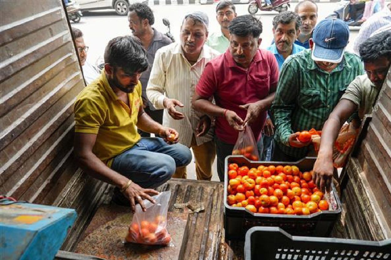 tomatoes price