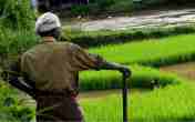 Greater Noida Farmers