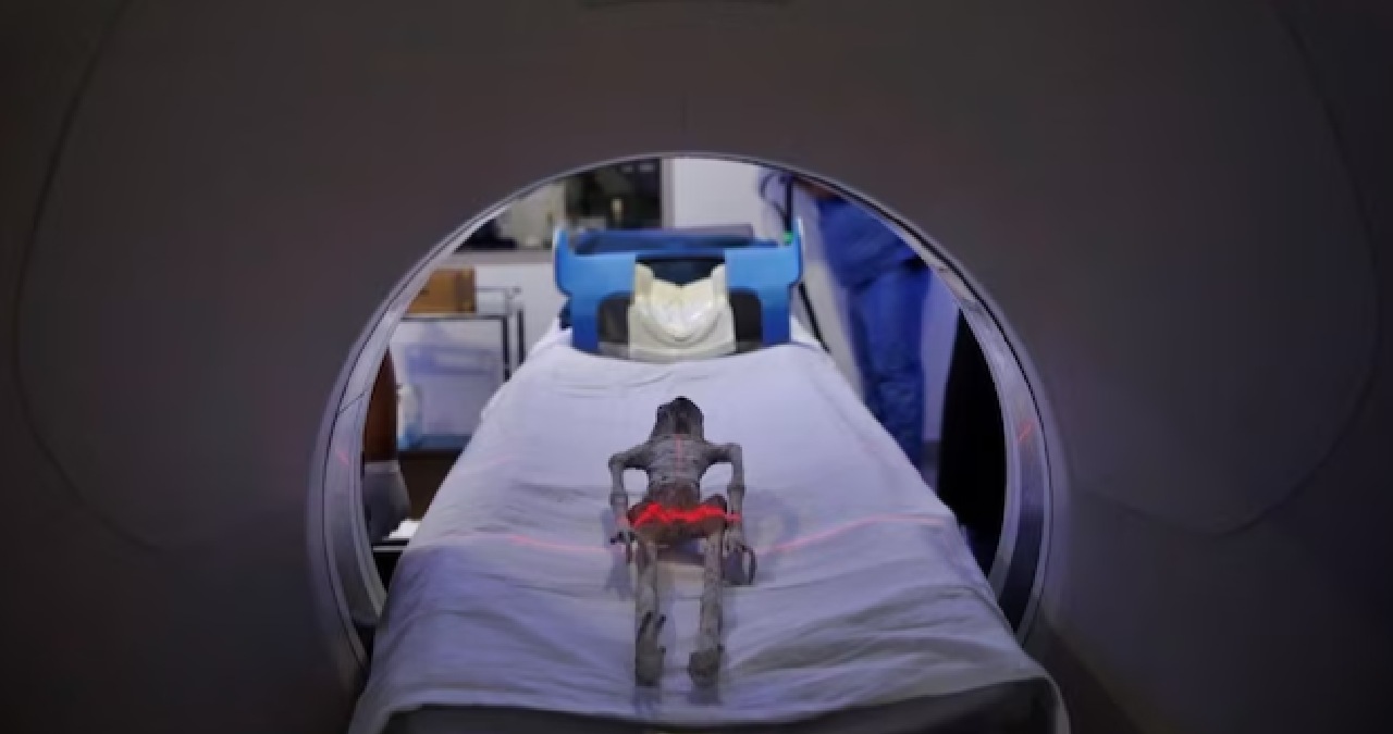 Mexico Alien Body