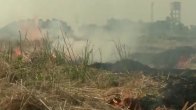 Stubble Burning