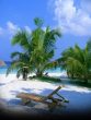 Hidden Gems of Lakshadweep