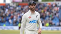 Kane Williamson