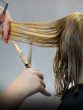 Skipping Regular Hair Trims