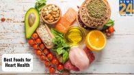 BEST FOOD FOR HEART HEALTH