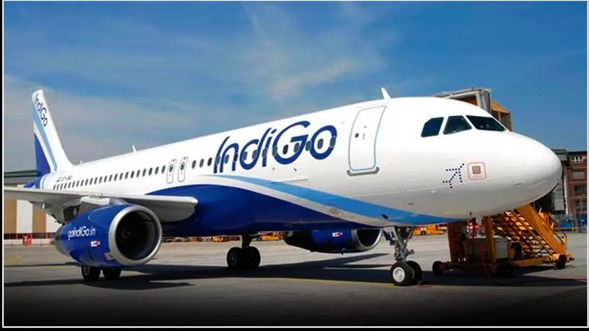 indigo-1