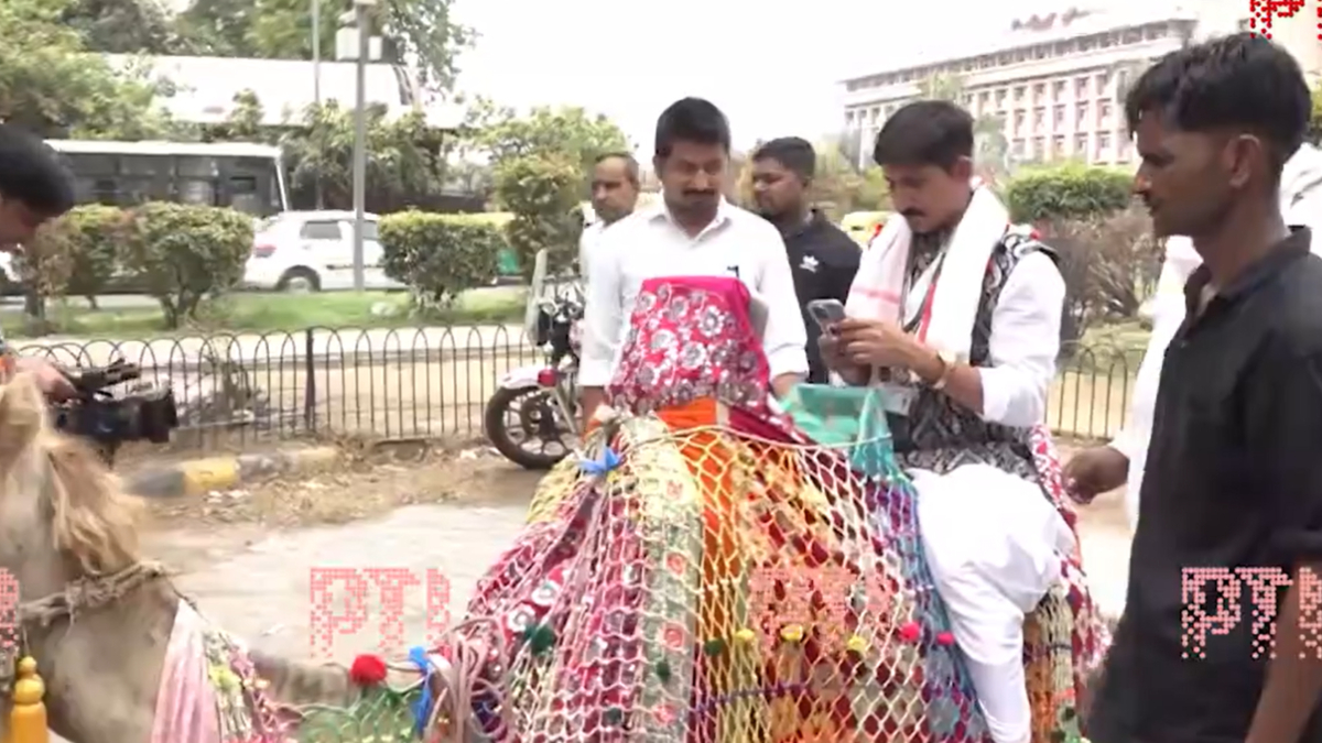MP Enter In Parliament On Camel