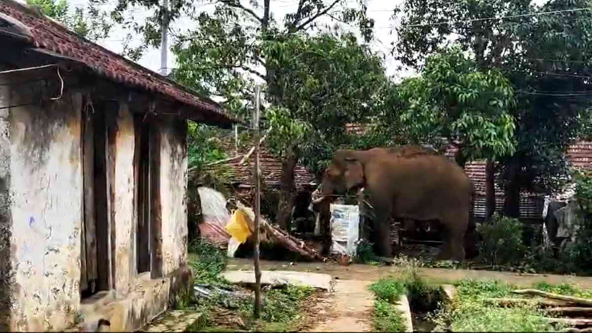 Kerala