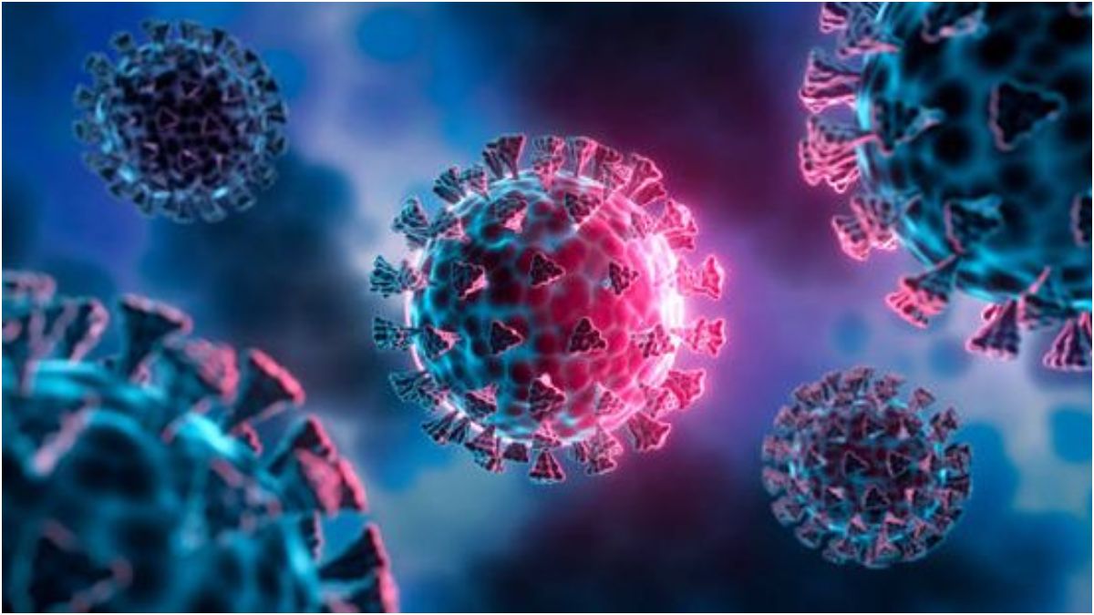 HKU5-CoV-2 Virus
