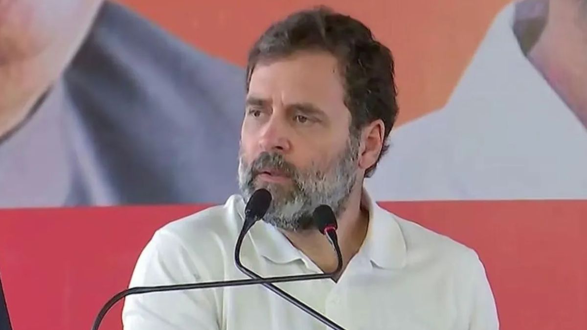 High Octane Drama At Parliament! BJP Accuses Rahul Gandhi Of Pushing Him, Congress MP Denies Charge