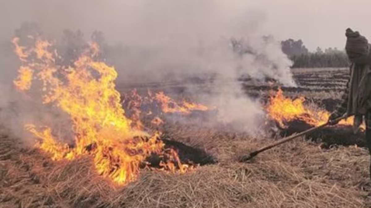 Stubble Burning