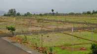 Noida Authority To Launch New 15-Acre Plot Scheme For Electronics Component Manufacturing In THESE Sectors