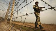 Punjab: BSF Guns Down Pakistani Intruder, Foils Infiltration Bid In Pathankot