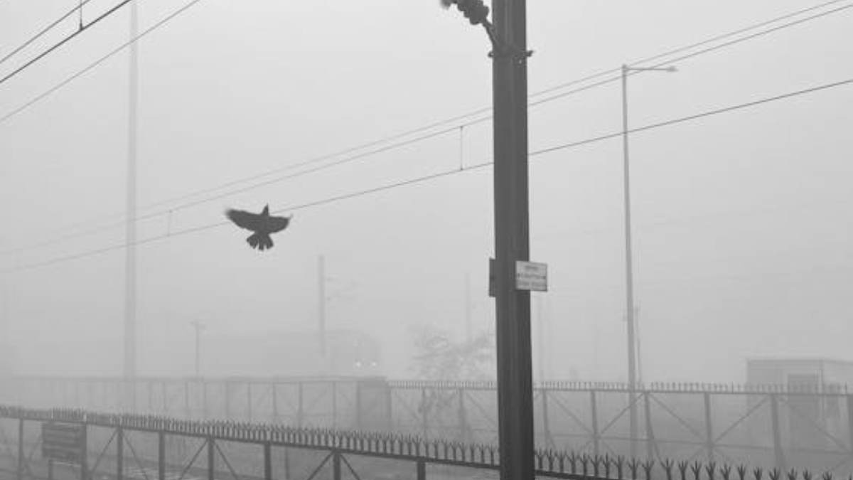Fog in Bihar and Patna