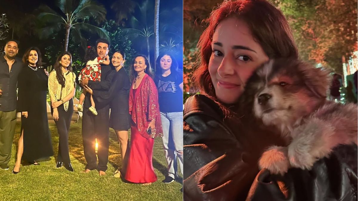 How Bollywood welcomed 2025