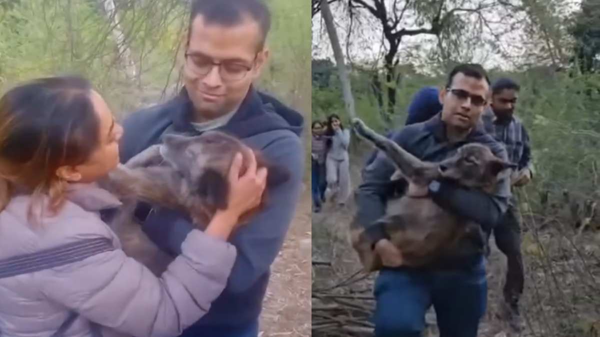 Gurugram Couple Finds lost Dog near Taj Mahal