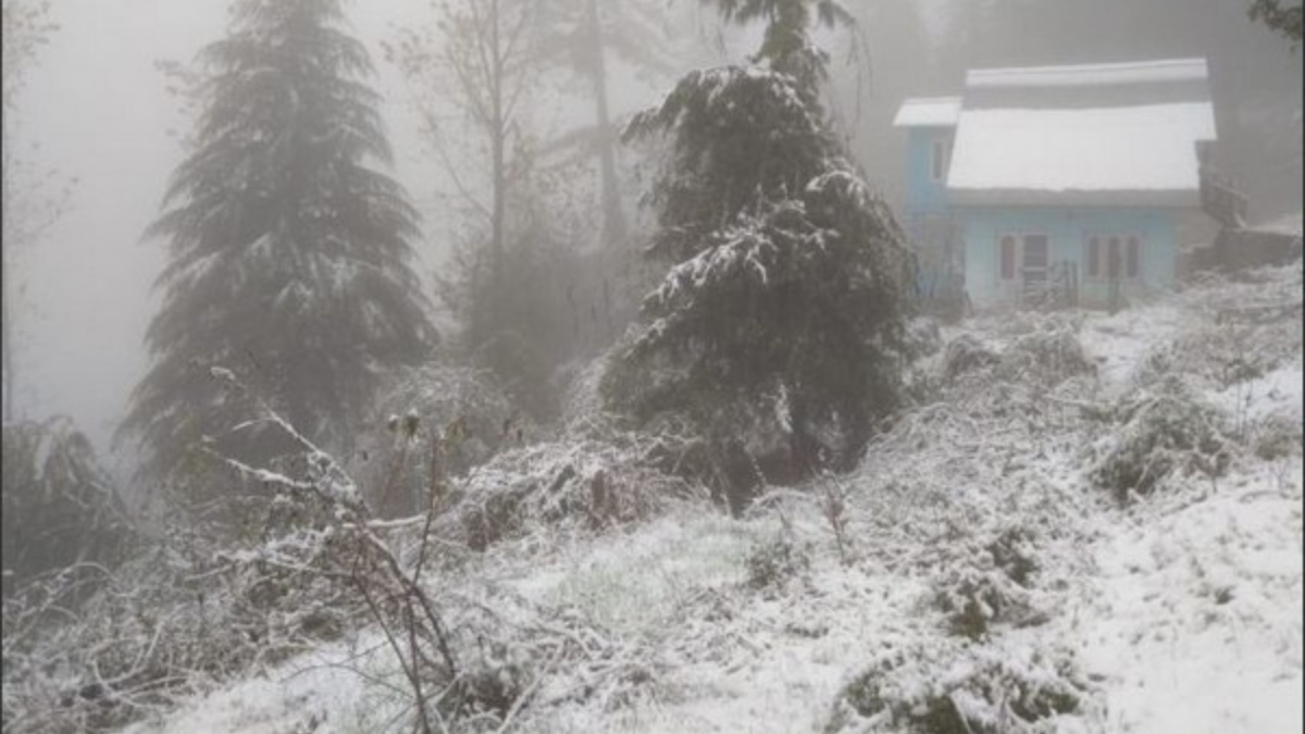 Kashmir Snowfall