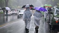 Delhi Weather Update: IMD Issues Yellow Alert For Rain As Monsoon Strengthens Grip- Check Forecast For This Week