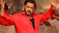 Sikandar Box Office Collection