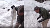 Viral Video