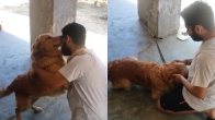 Viral Video