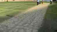M Chinnaswamy Stadium pitch report