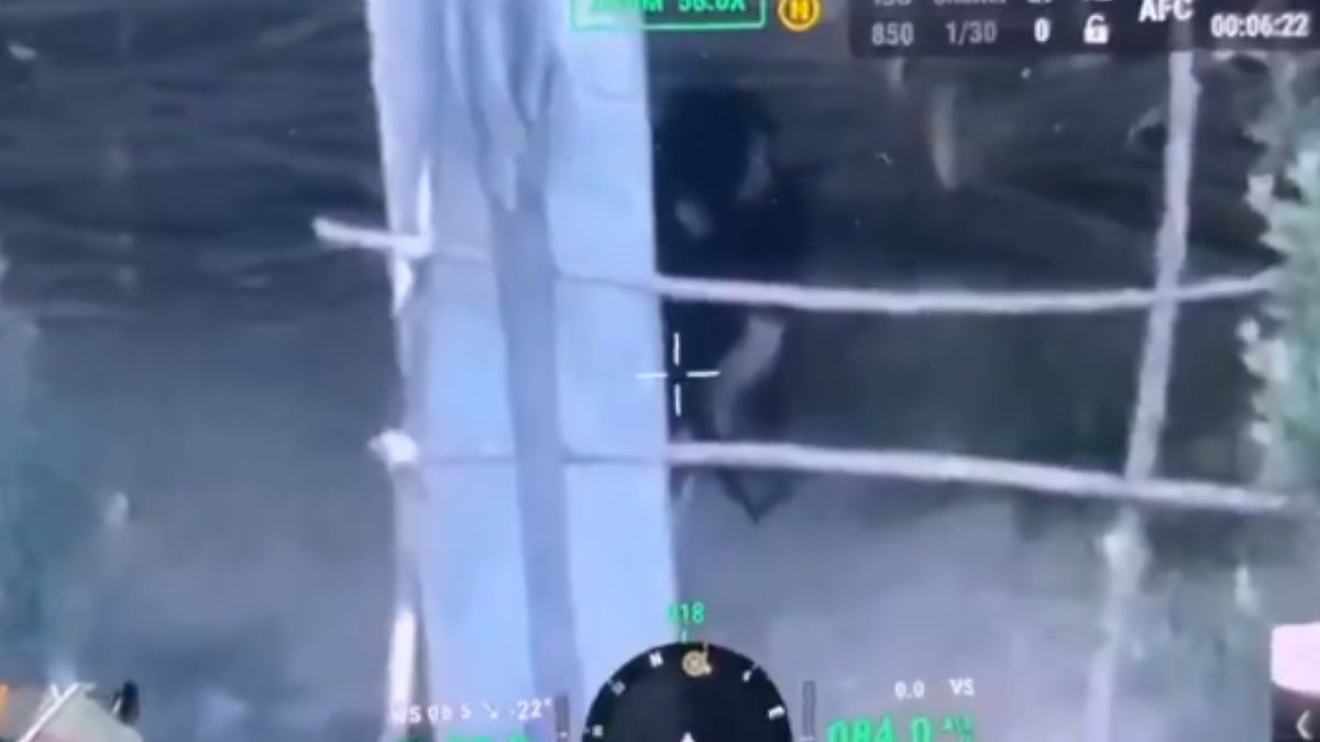 Watch: Drone Video Captures Jaish-e-Mohammad Terrorist Hiding Just Before Being Killed In Encounter In Pulwama