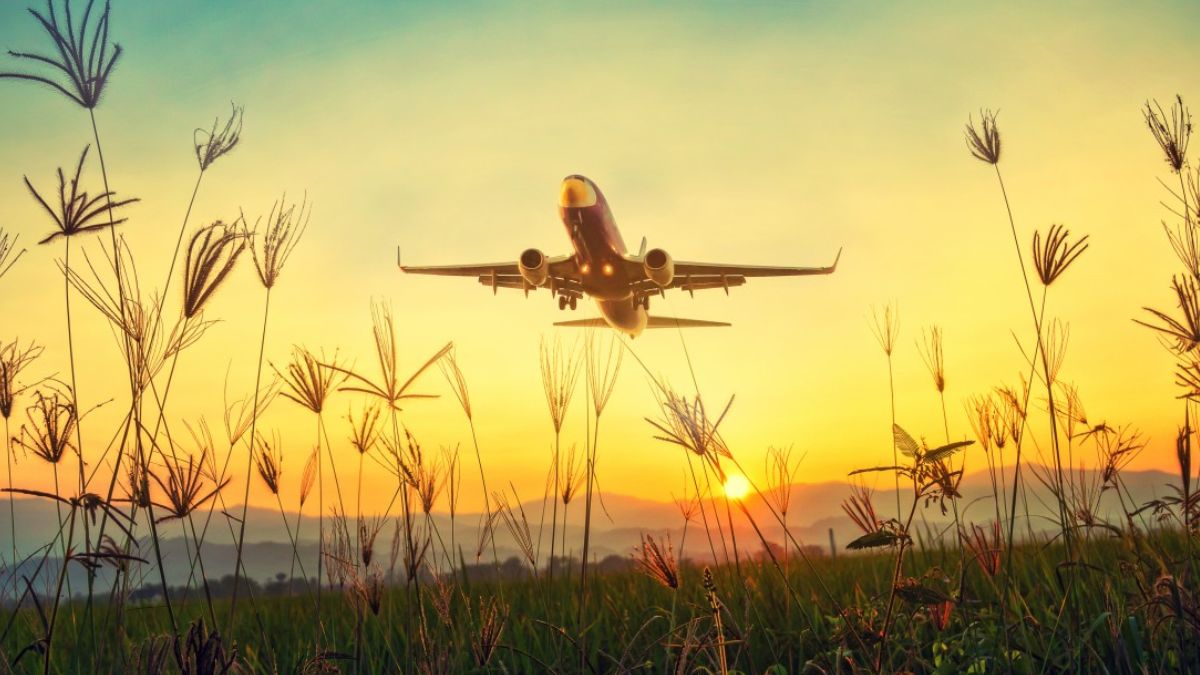 Domestic Air Passenger