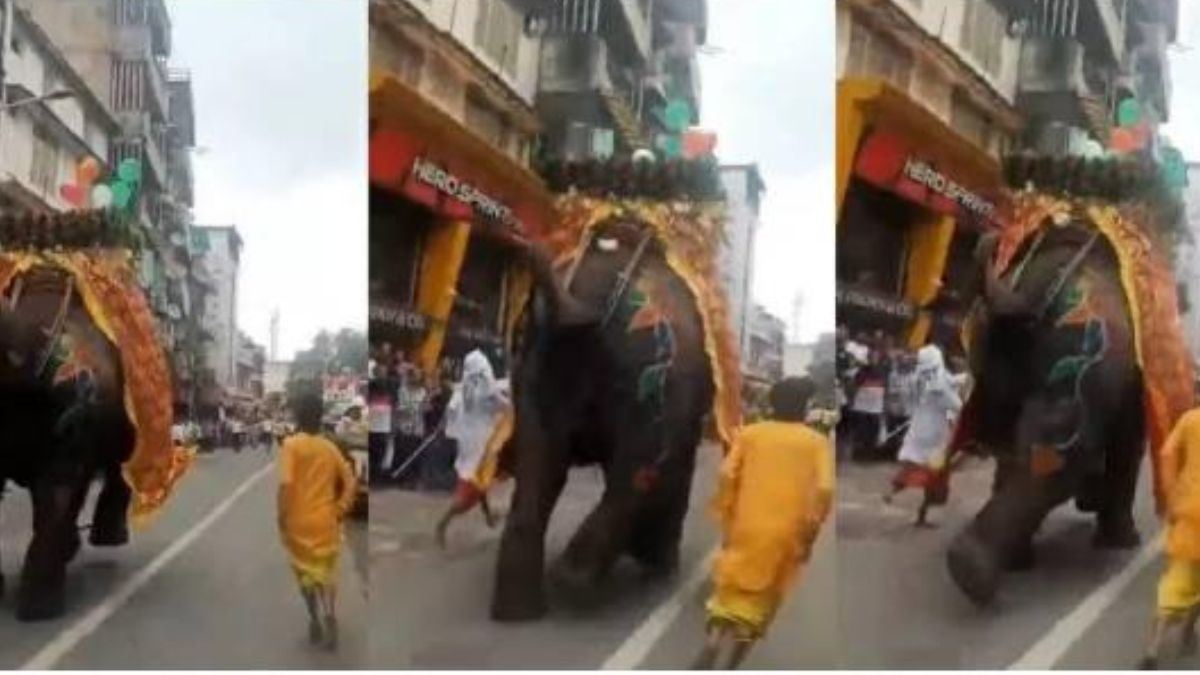 Elephants Run Amok At Ahmedabad Rath Yatra, Video Prompts Concern As Vantara Aids In Aftermath