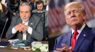 Seyed Abbas, Donald Trump