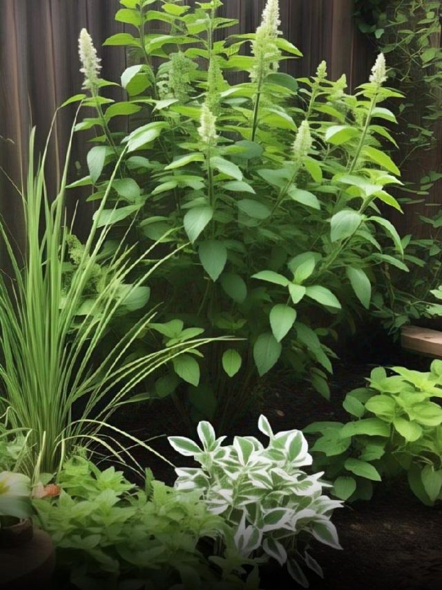 Grow These 5 Magical Herbs Right In Your Kitchen Garden