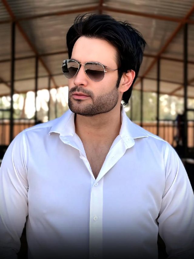 Vivian Dsena: Unknown Facts About The Mysterious TV Star