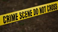 Bihar: 12-Year-Old Boy Shot Dead In Sleep, Father Critically Injured In Araria