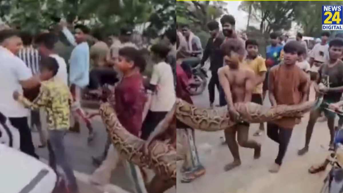 Viral Video