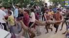 Viral Video